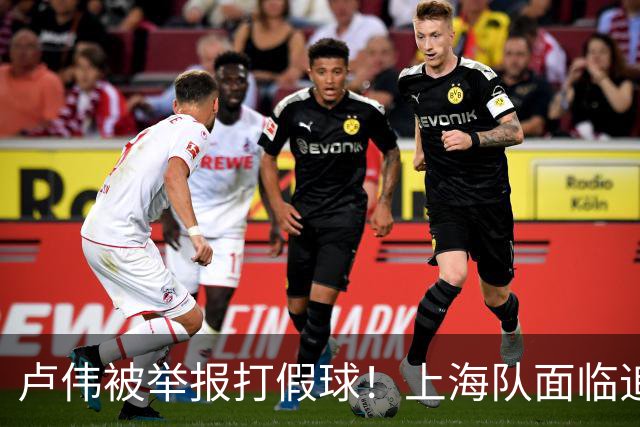 卢伟被举报打假球！上海队面临追罚，张镇麟坑惨球队